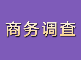 木里商务调查